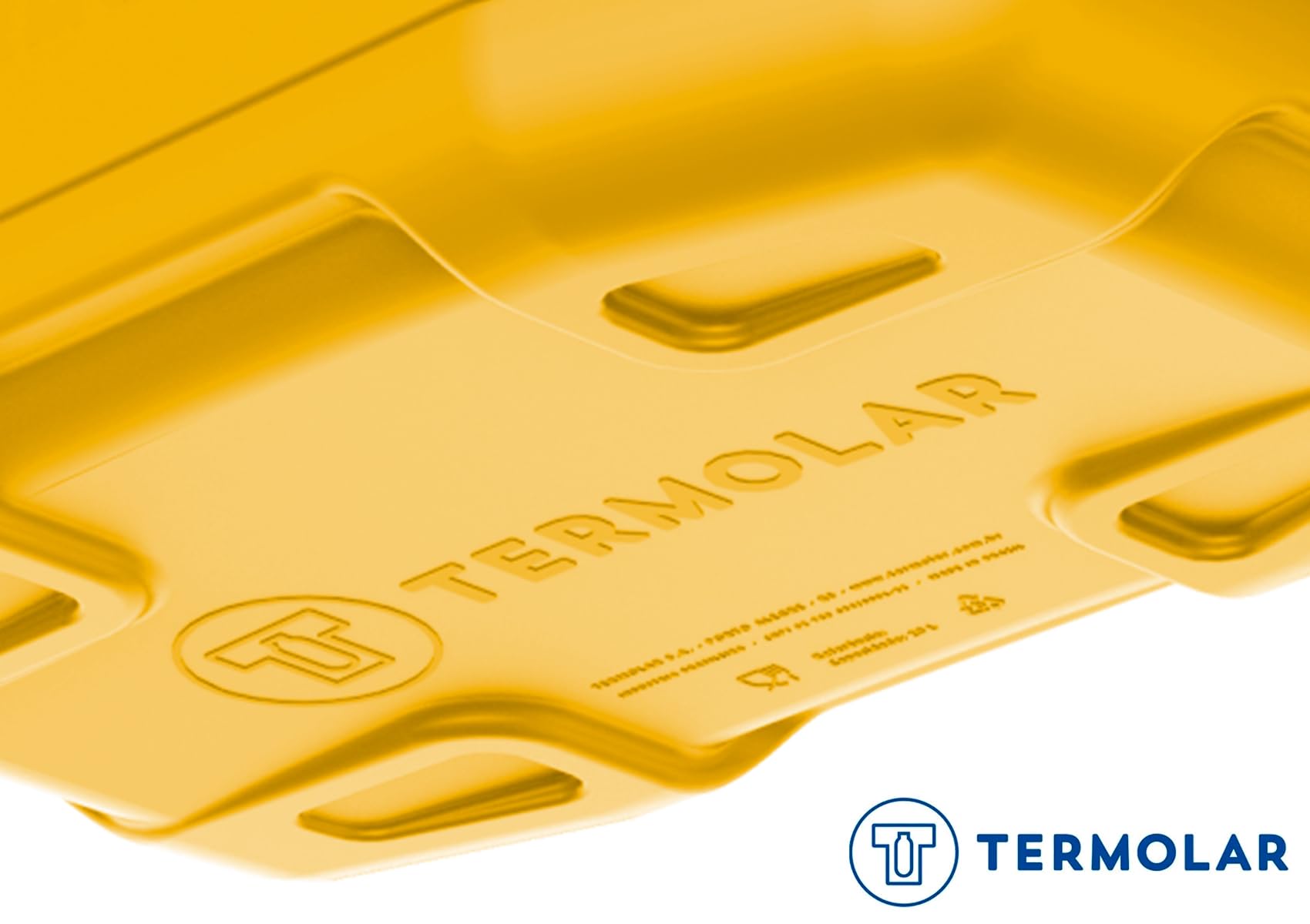 Caixa Térmica Cooler Com Alça Praia Pesca Camping 20 Litros Termolar